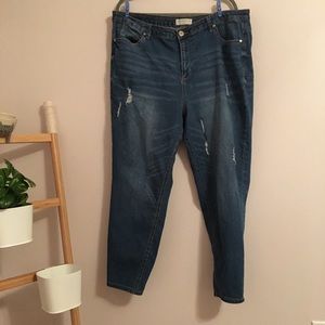 Eloquii Jeans